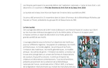 thumbnail of Le prix « J’aime le Livre d’Art » est attribué à Murs de papier de Christine Velut, préface de Vincent Darré (BNF éditions)